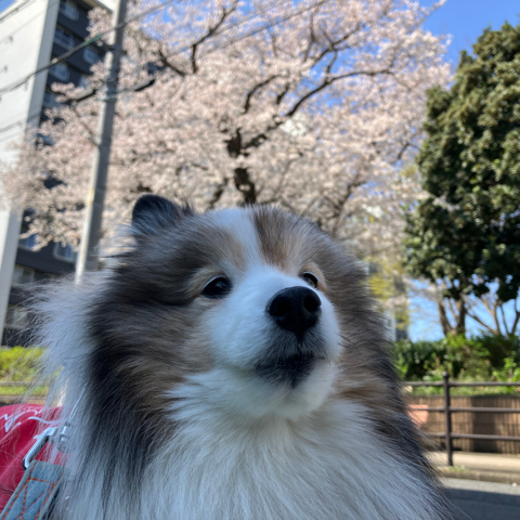 IMG_5690.jpeg