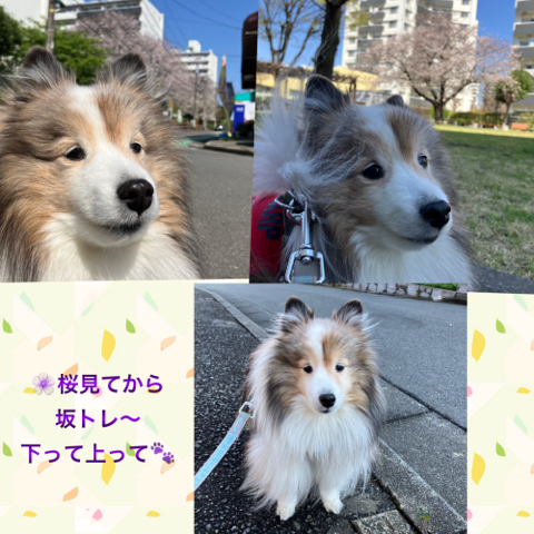 IMG_5693.jpeg