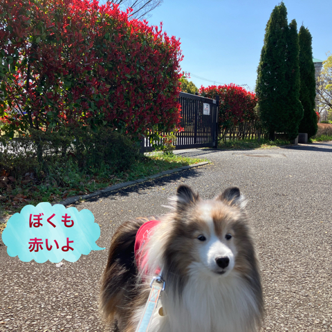 IMG_5698.jpeg