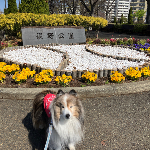 IMG_5699.jpeg