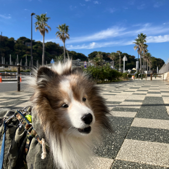 IMG_5710.jpeg
