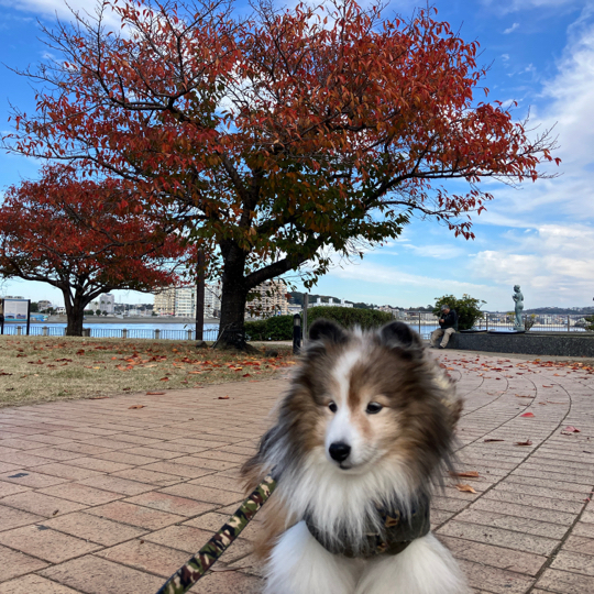 IMG_5713.jpeg
