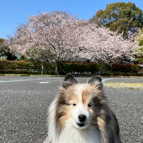 IMG_5714.jpeg