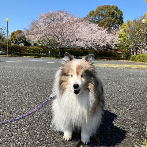 IMG_5715.jpeg