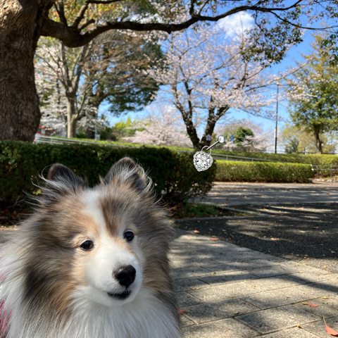 IMG_5720.jpeg