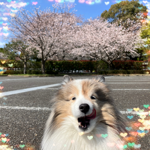IMG_5721.jpeg