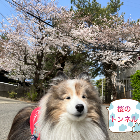 IMG_5740.jpeg