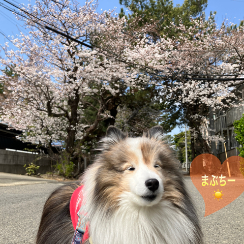 IMG_5741.jpeg