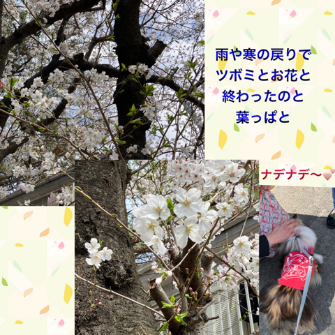 IMG_5742.jpeg