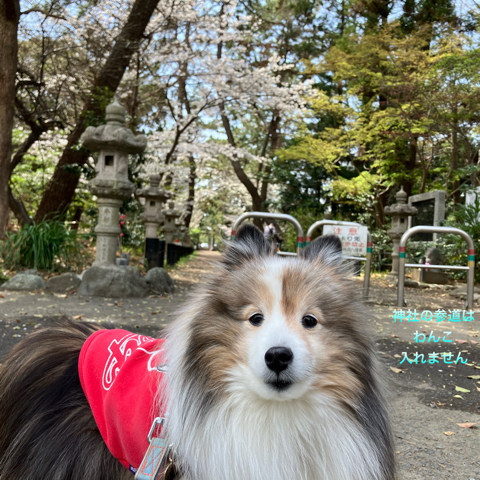 IMG_5743.jpeg