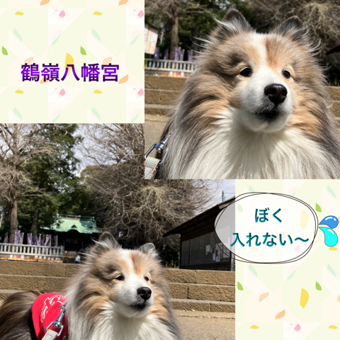 IMG_5744.jpeg