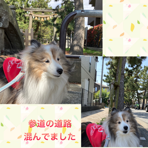 IMG_5746.jpeg