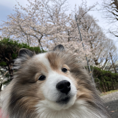 IMG_5781.jpeg