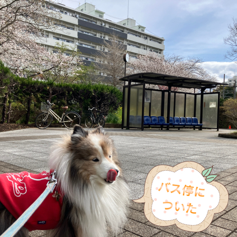 IMG_5783.jpeg