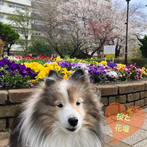 IMG_5785.jpeg