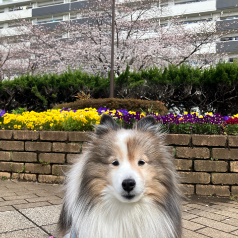 IMG_5786.jpeg