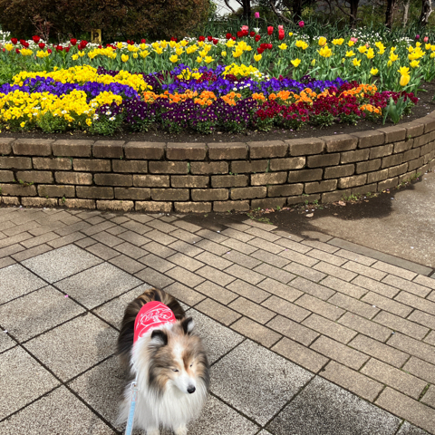 IMG_5787.jpeg