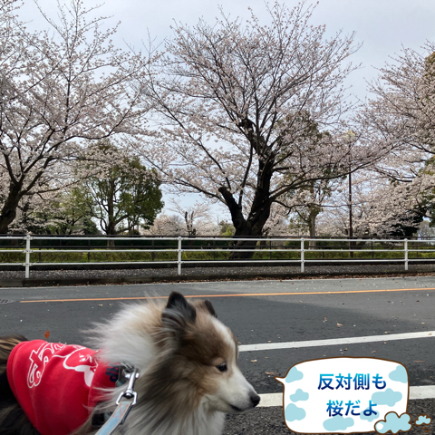 IMG_5788.jpeg