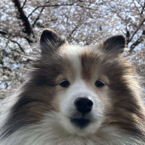 IMG_5819.jpeg