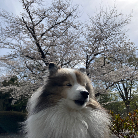 IMG_5820.jpeg