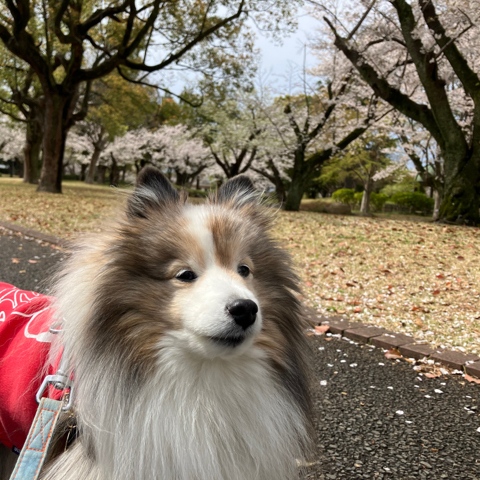 IMG_5821.jpeg