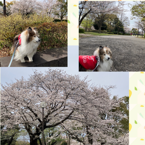 IMG_5822.jpeg