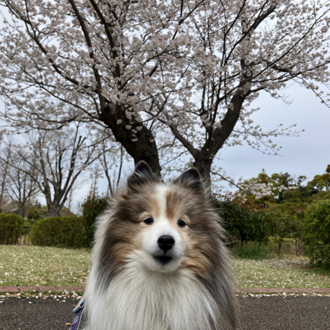 IMG_5824.jpeg