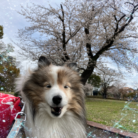 IMG_5829.png