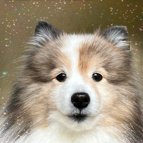 IMG_5853.png