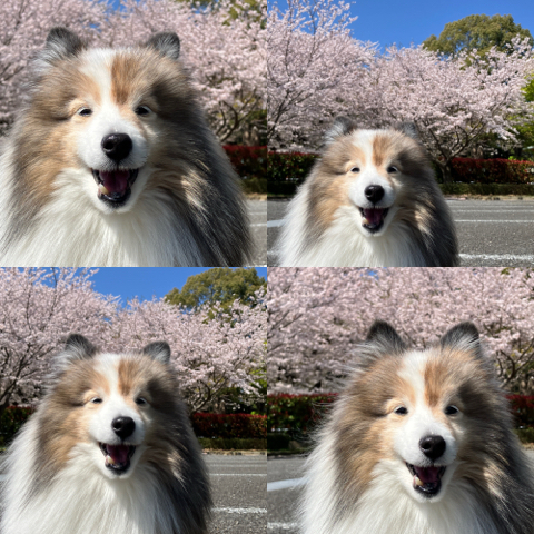 IMG_5924.jpeg