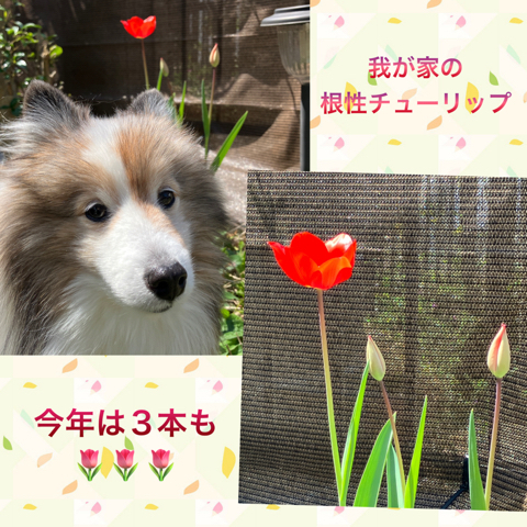 IMG_5927.jpeg