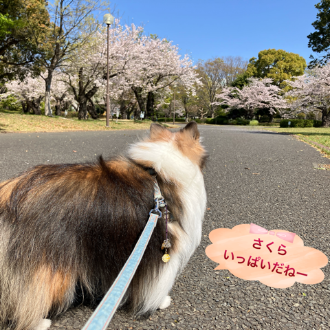 IMG_5944.png