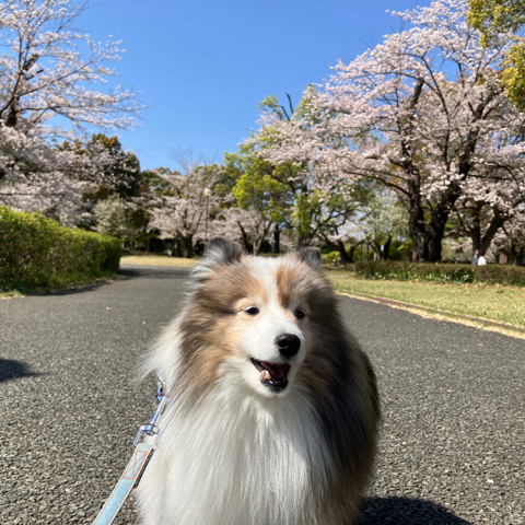 IMG_5948.jpeg