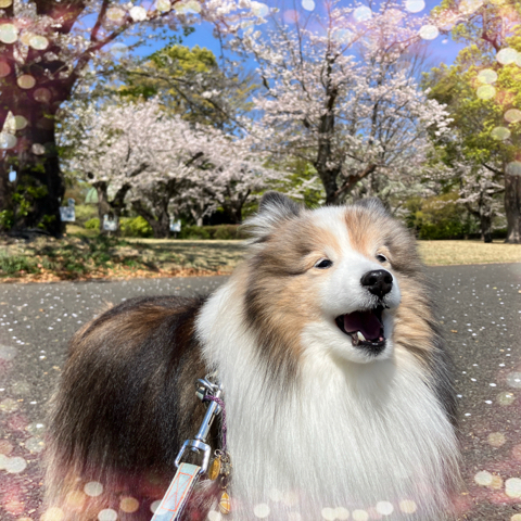IMG_5953.jpeg