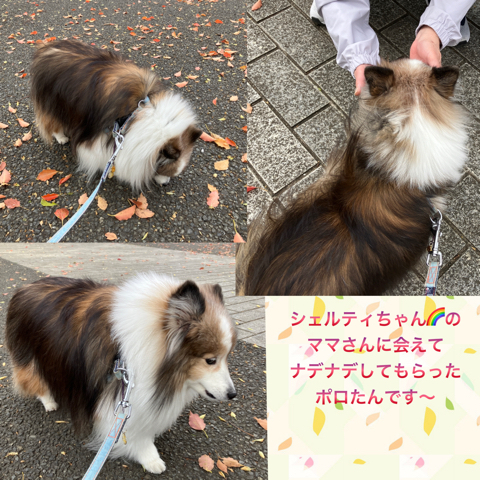 IMG_5988.jpeg