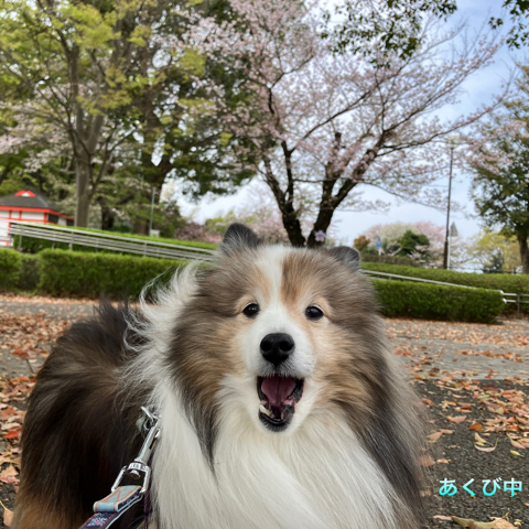 IMG_5989.jpeg