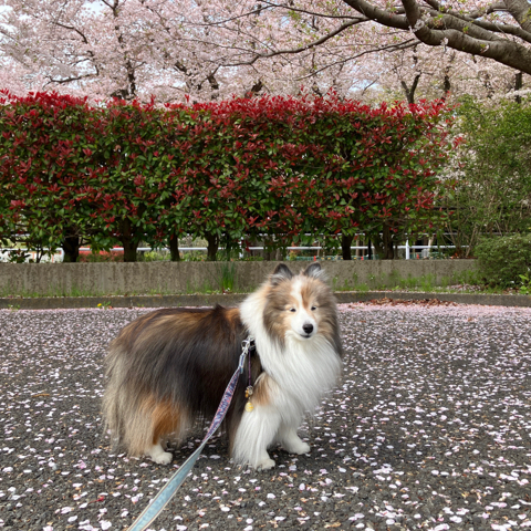 IMG_6021.jpeg