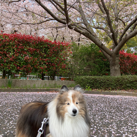 IMG_6022.jpeg