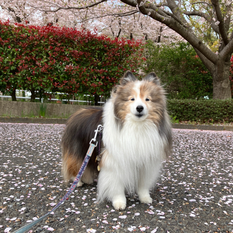 IMG_6023.jpeg