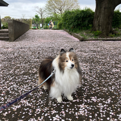 IMG_6049.jpeg