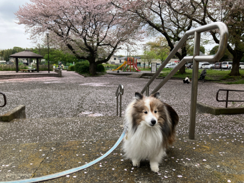 IMG_6051.jpeg