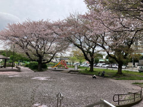 IMG_6052.jpeg