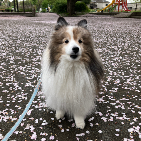 IMG_6053.jpeg