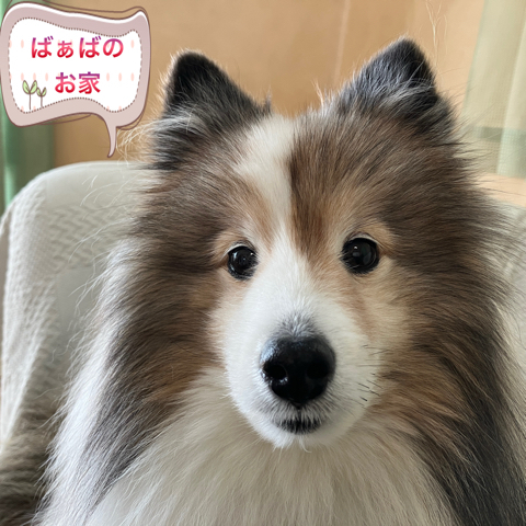 IMG_6077.jpeg