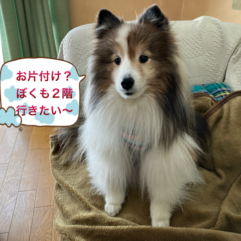 IMG_6078.jpeg