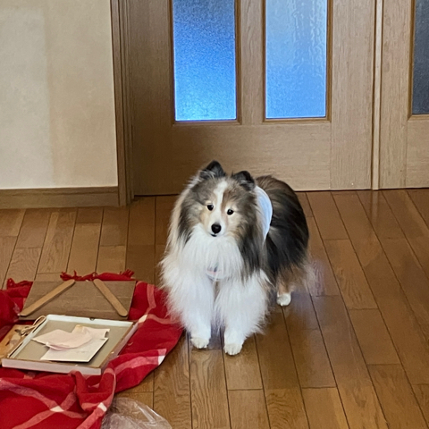 IMG_6079.jpeg