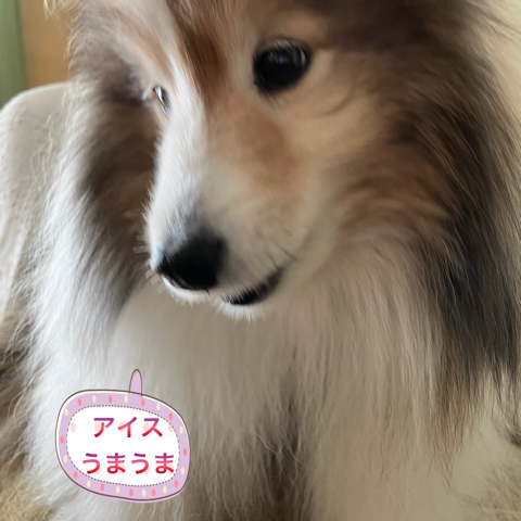 IMG_6081.jpeg