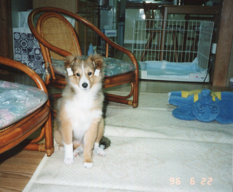 IMG_6127.jpeg