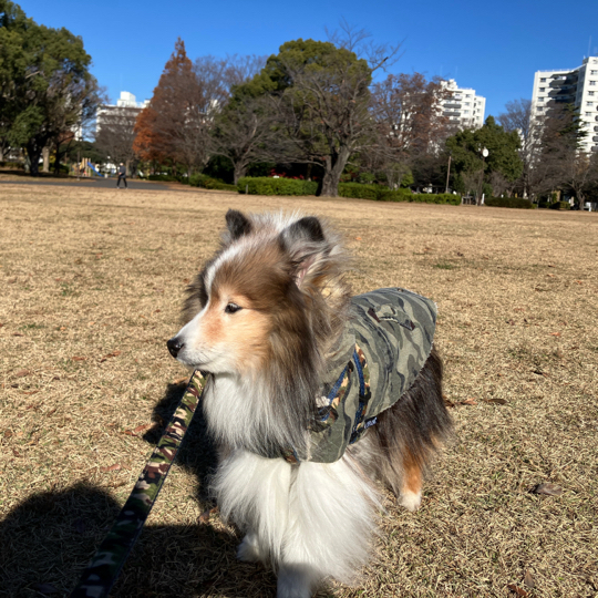 IMG_6139.jpeg