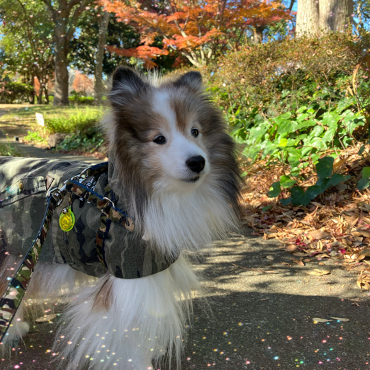 IMG_6140.jpeg